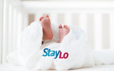 StayLo Is Born!