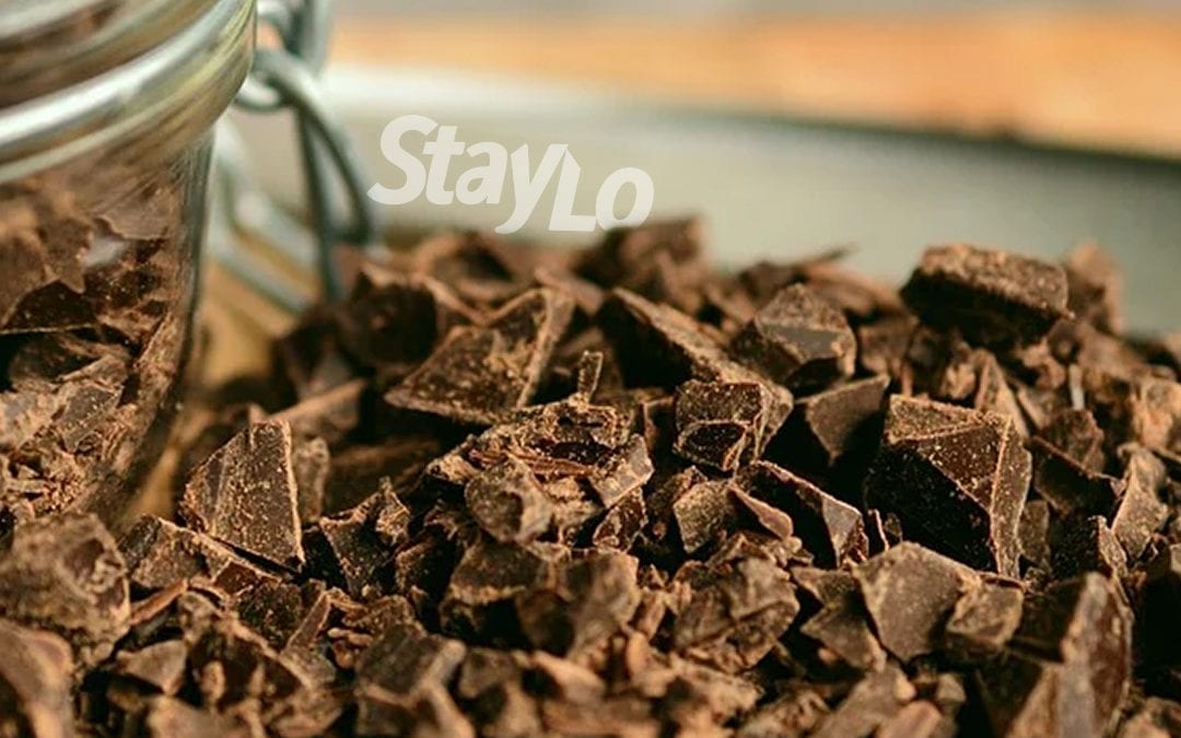 Chocolate and your gut flora